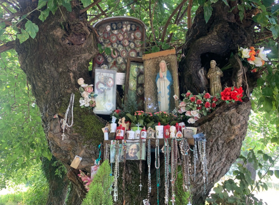Campo di San Bonico - Madonna della Notte